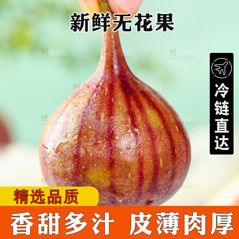 手拿紫皮无花果