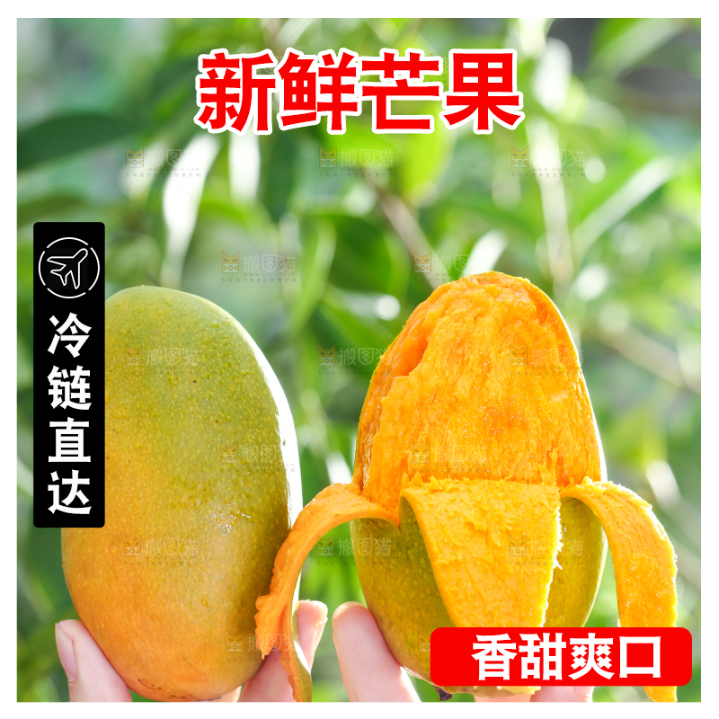 手拿切开的椰香芒果