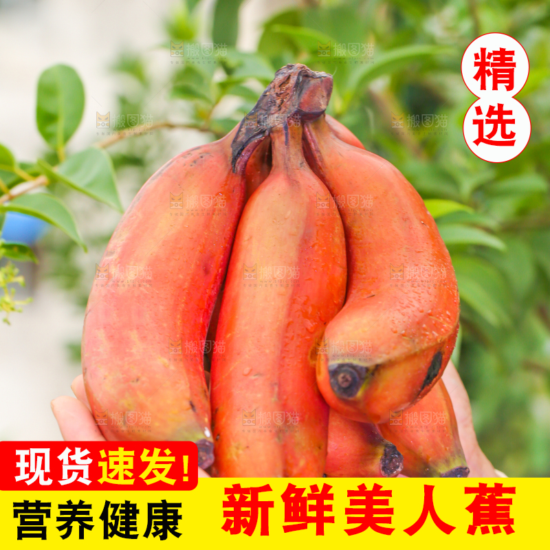 手里拿着一把红皮香蕉