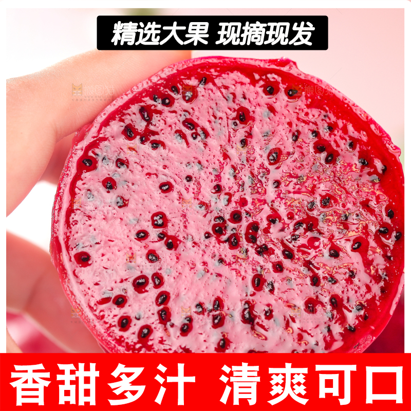 手拿切开的海南红心火龙果