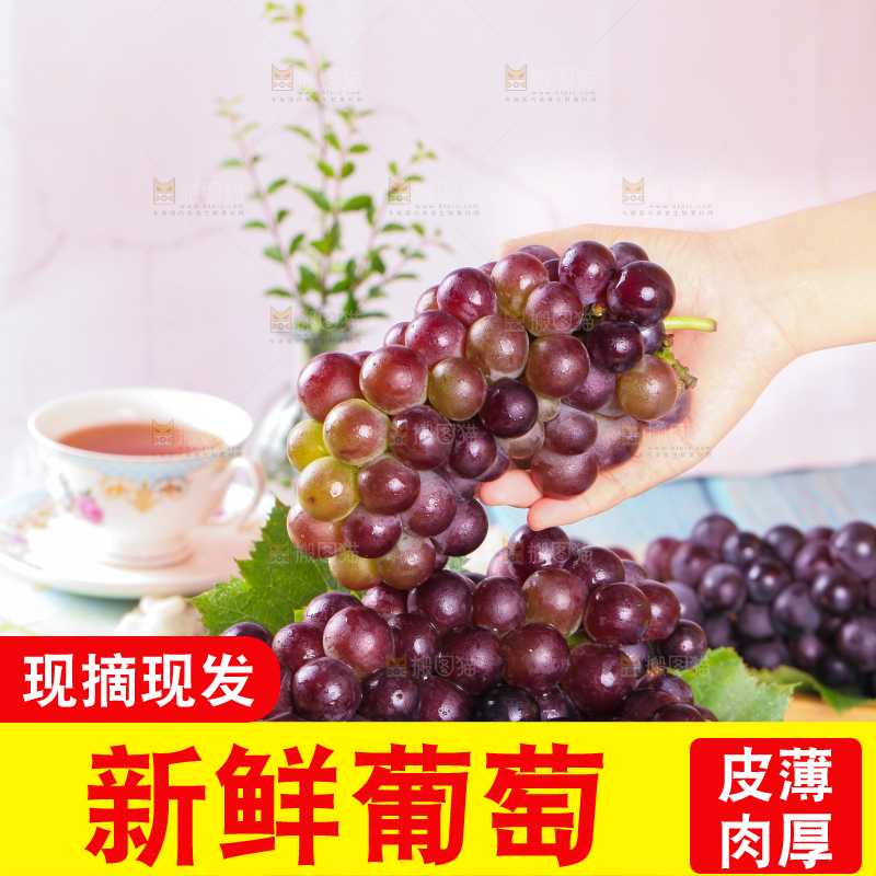 手拿东北巨峰葡萄