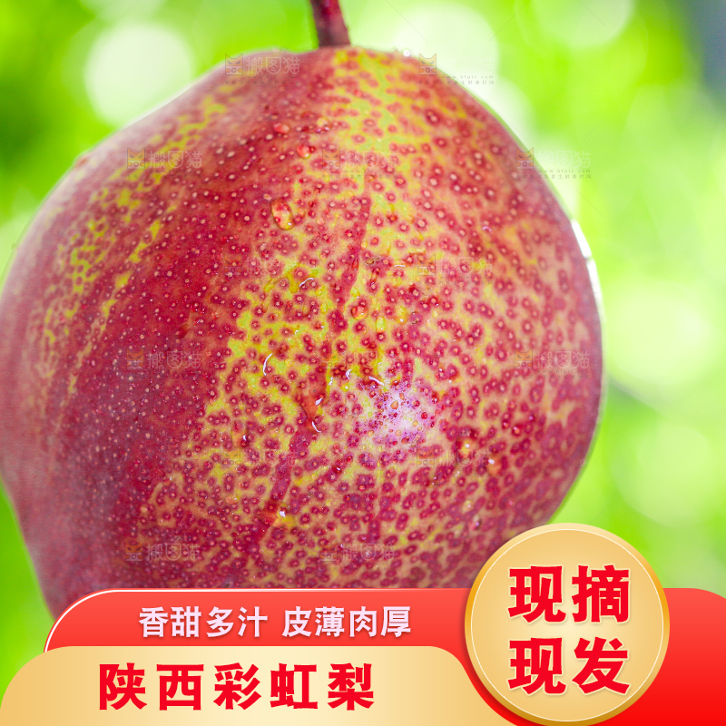 草地上的彩虹梨