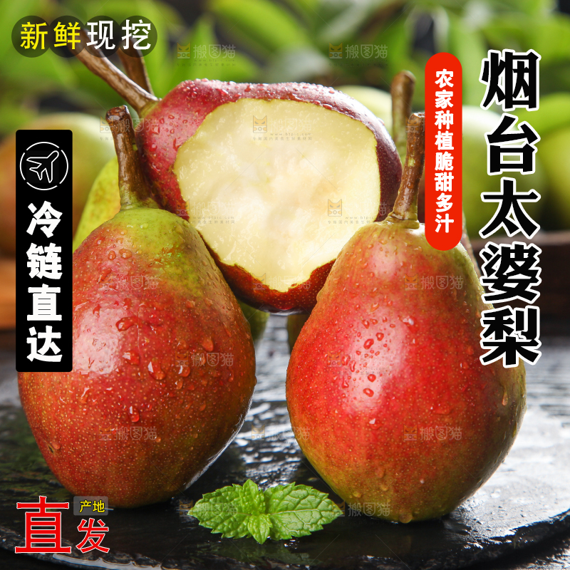 深底上的烟台太婆梨