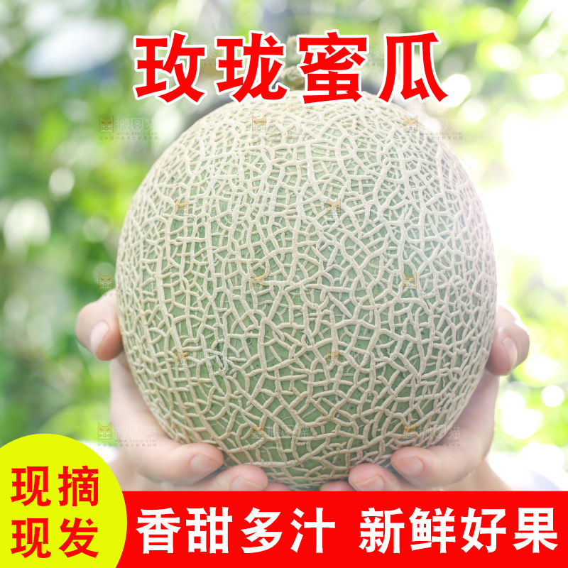 手拿玫珑瓜