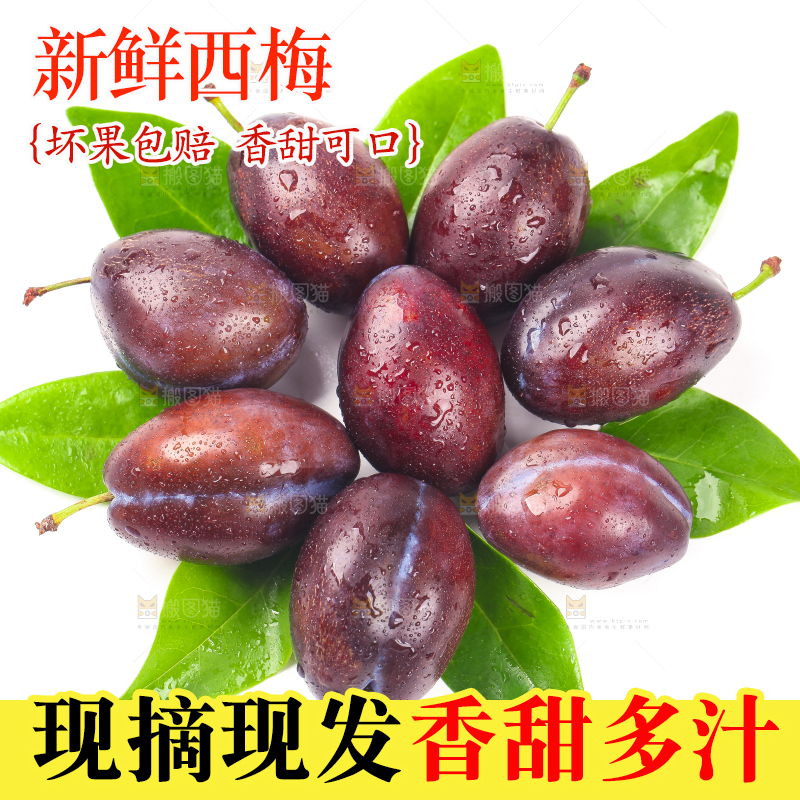 树叶上的西梅