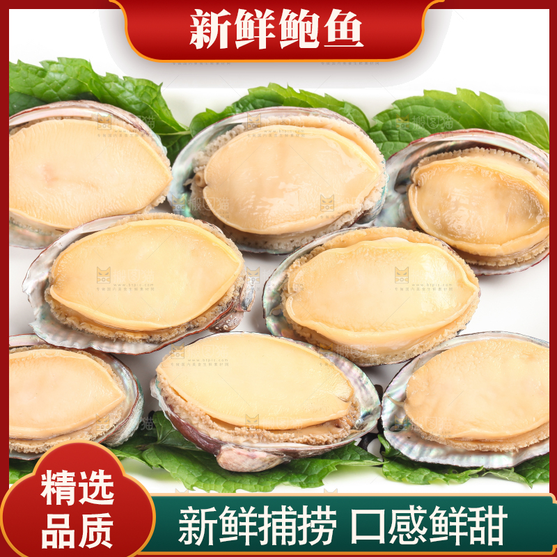 白底上放着新鲜剥开的活动大鲍鱼