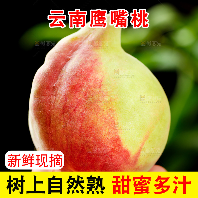 手拿云南鹰嘴水蜜桃
