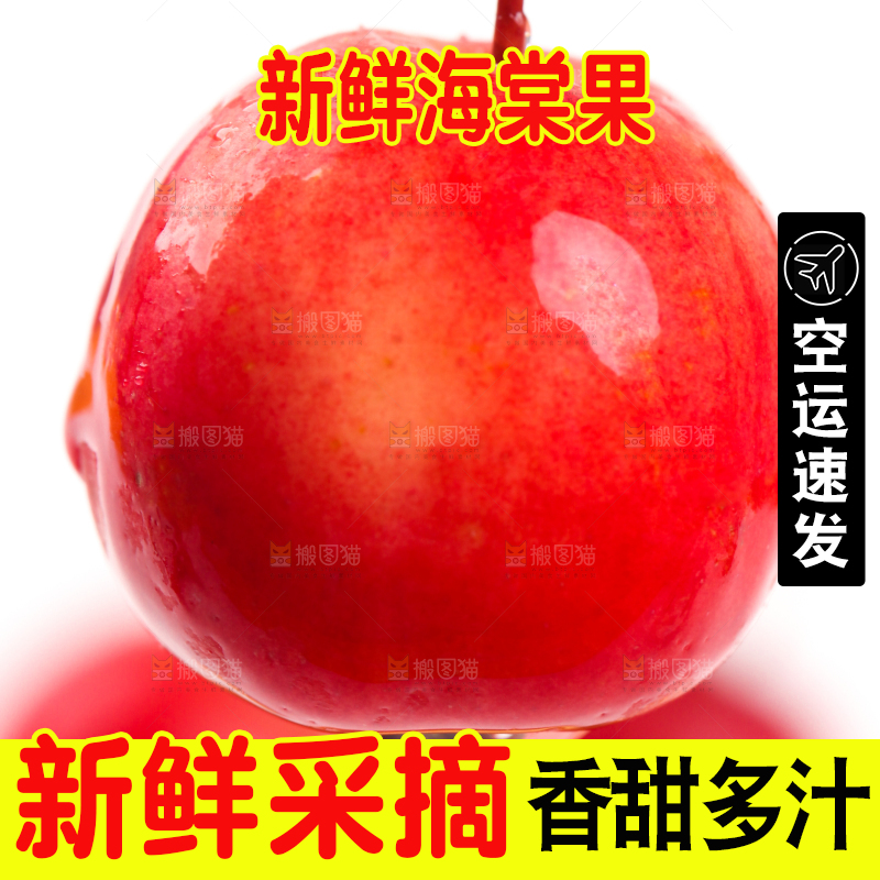 浅底上的海棠果