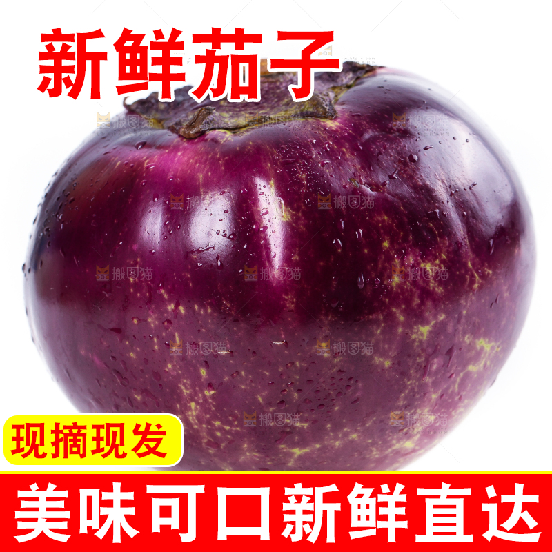 白底上的紫皮圆茄子