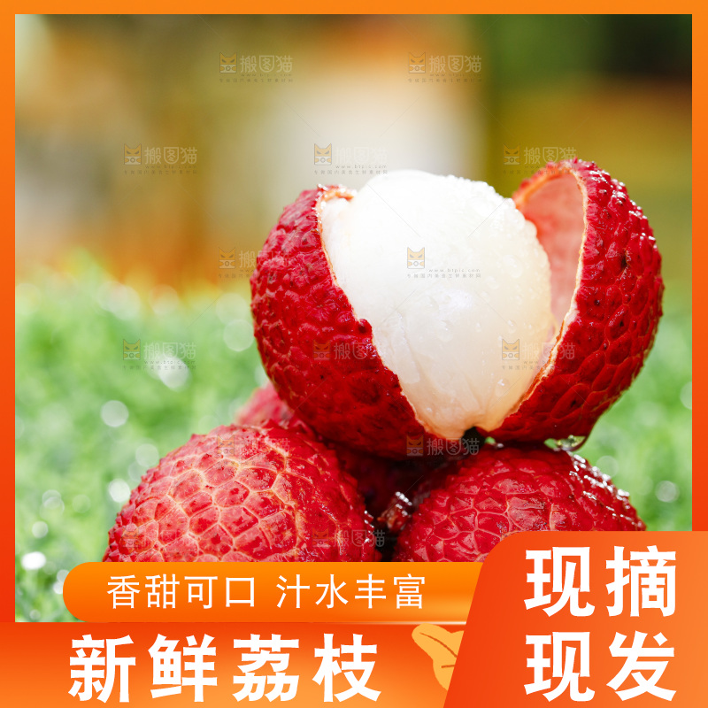 草地上的荔枝