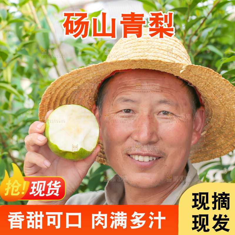 农民手里拿着青皮皇冠梨