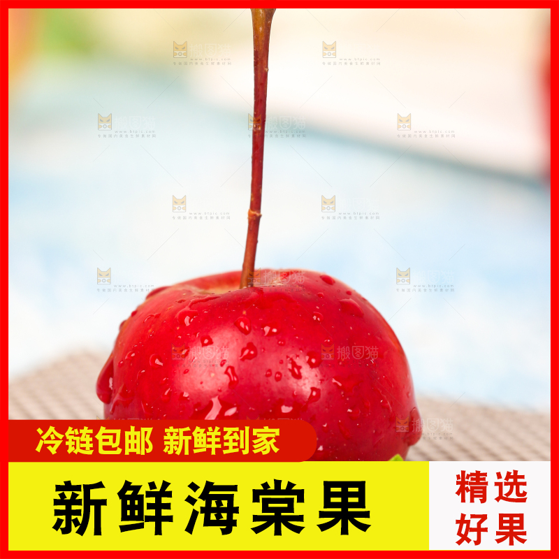 浅底上的东北海棠果