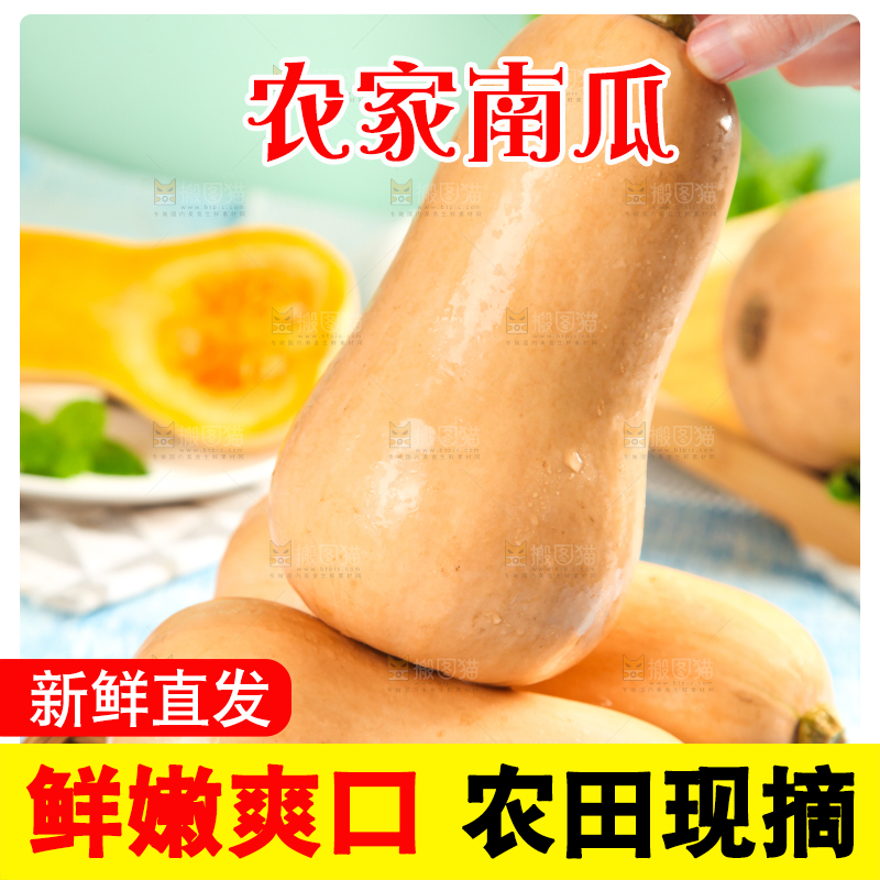 蓝底上放着一盘奶油南瓜