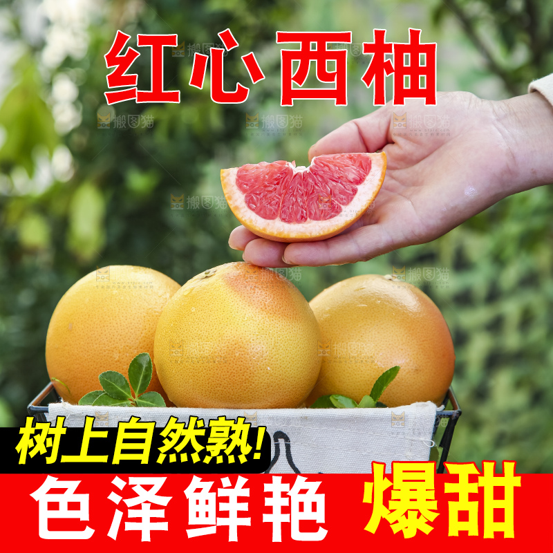 手拿切开的红心西柚