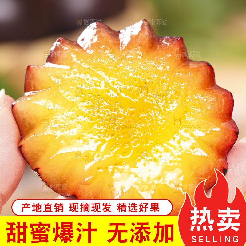 手拿切开的黄肉黑布李