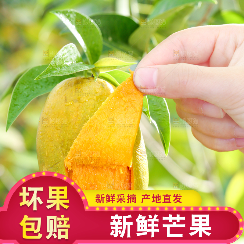 手拿切开的椰香芒果