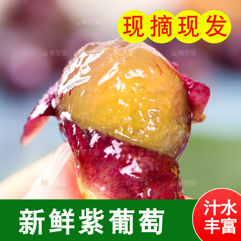 手拿剥皮的东北巨峰葡萄