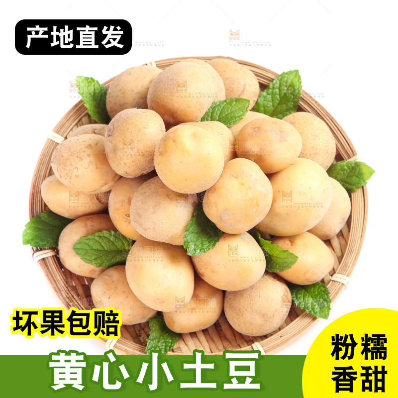 白底上放着一盘土豆