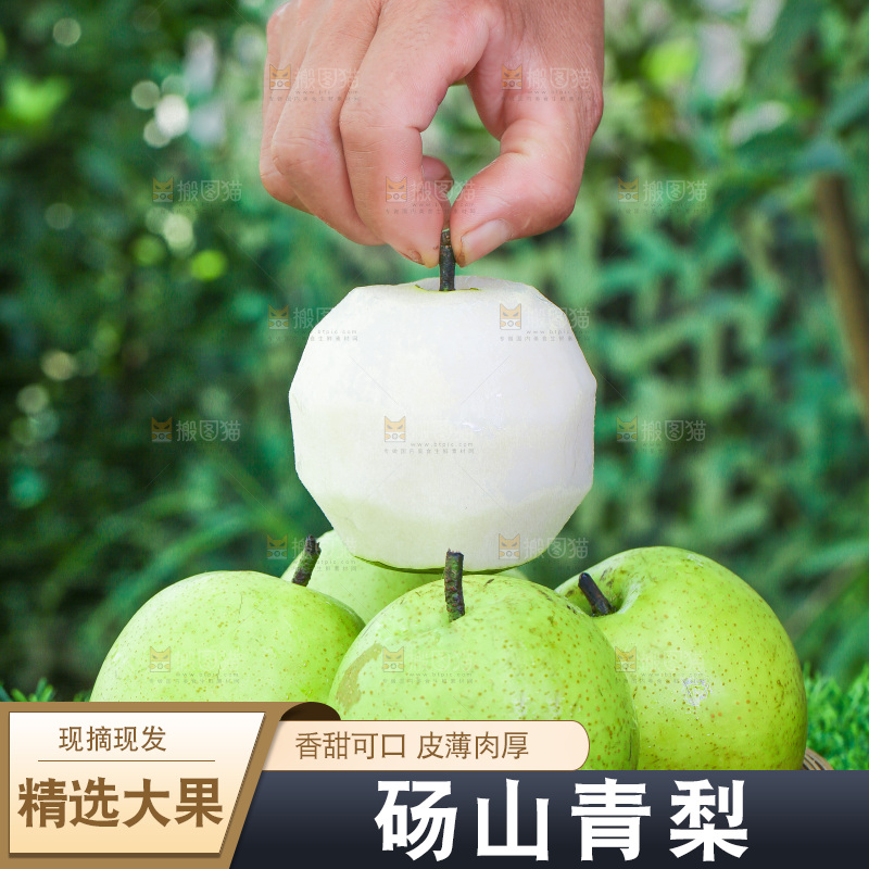 草地上手拿削皮的青皮皇冠梨