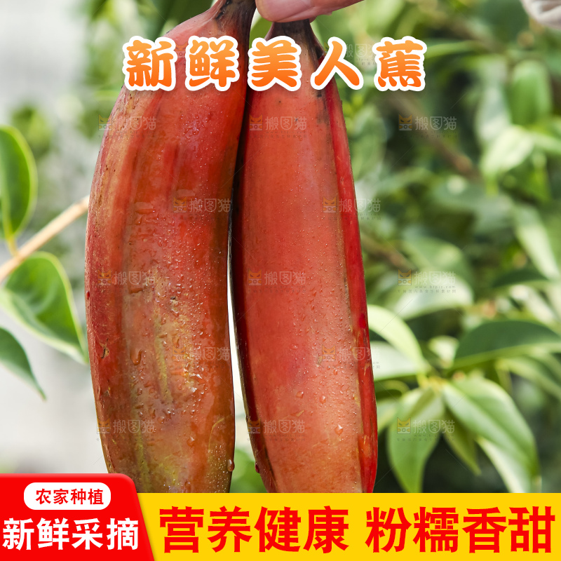手拿红皮美人香蕉