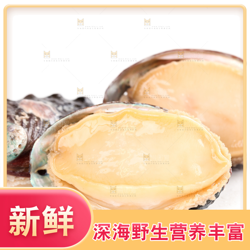 白底上放着新鲜剥开的活动大鲍鱼