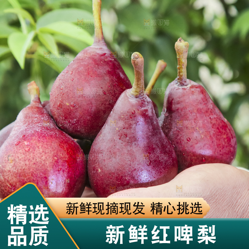 手拿红啤梨