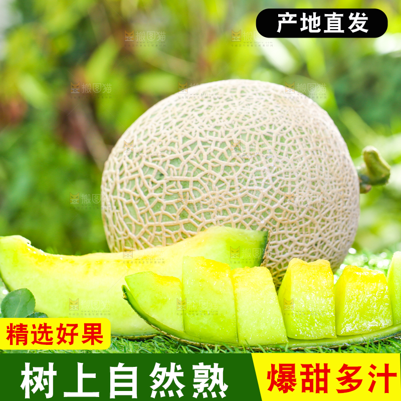 草地上放着切开的网纹蜜瓜