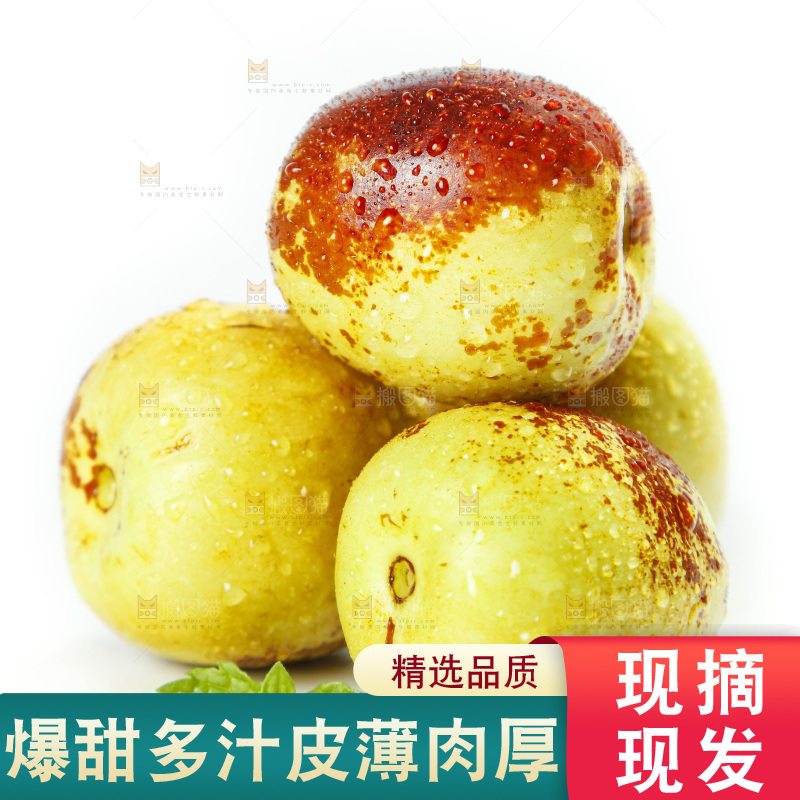 白底上的冬枣