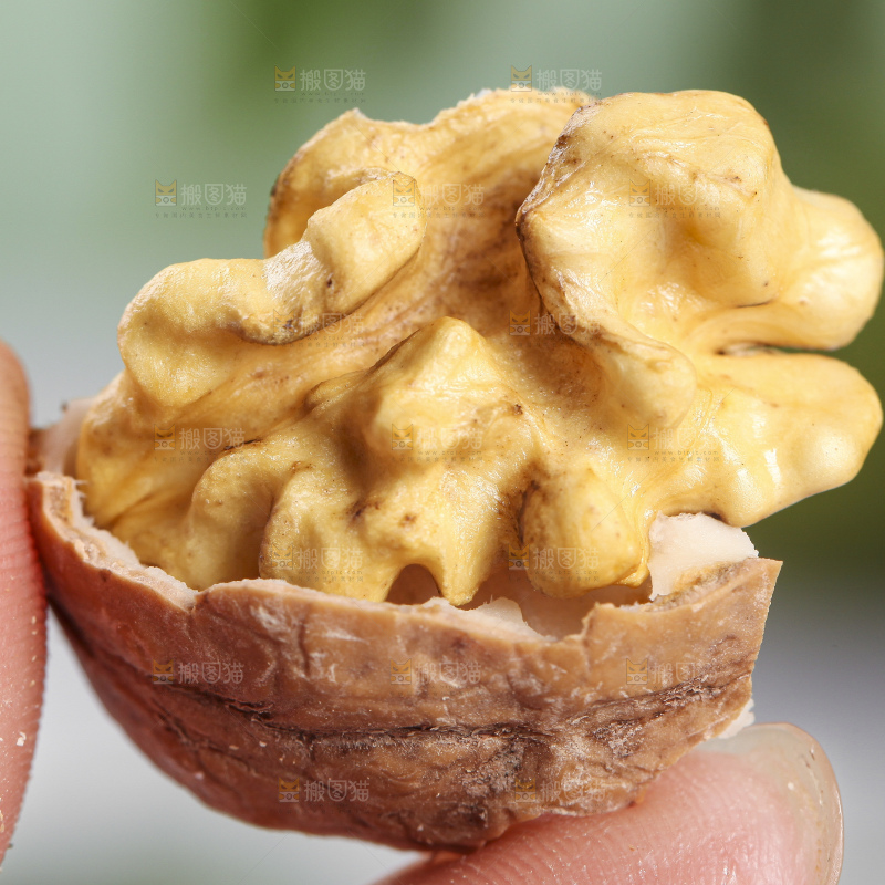 手拿新鲜湿核桃果仁