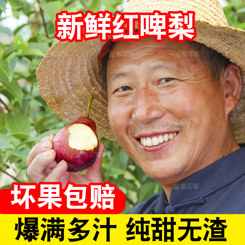 农民手拿红啤梨