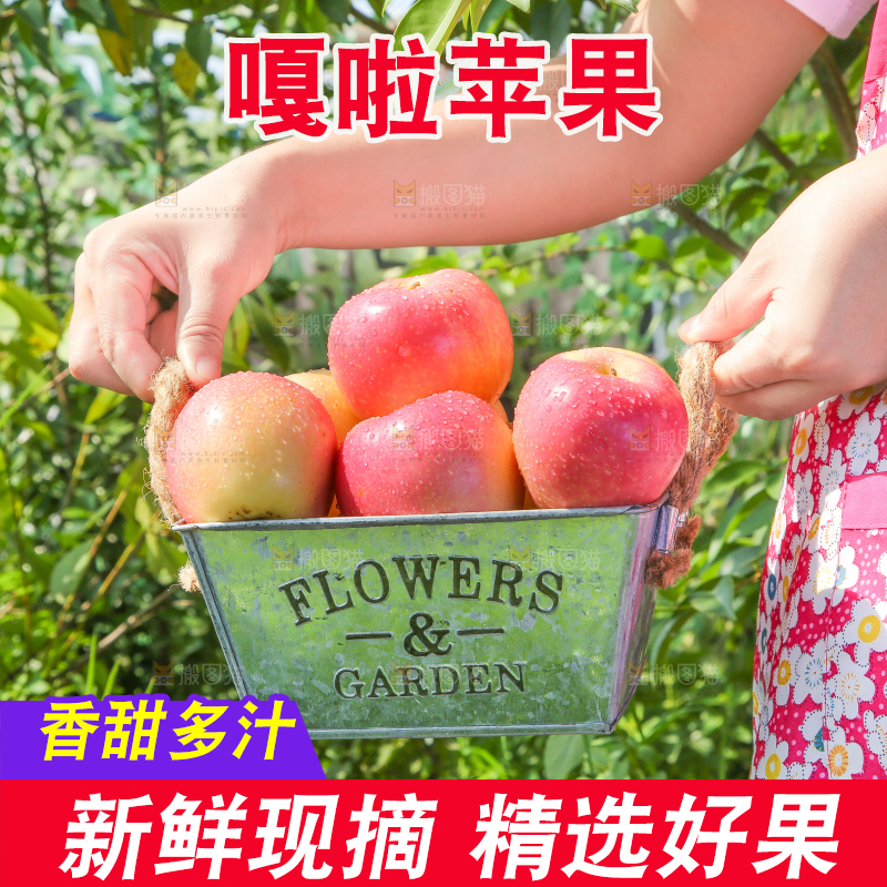 手拿一桶嘎啦苹果
