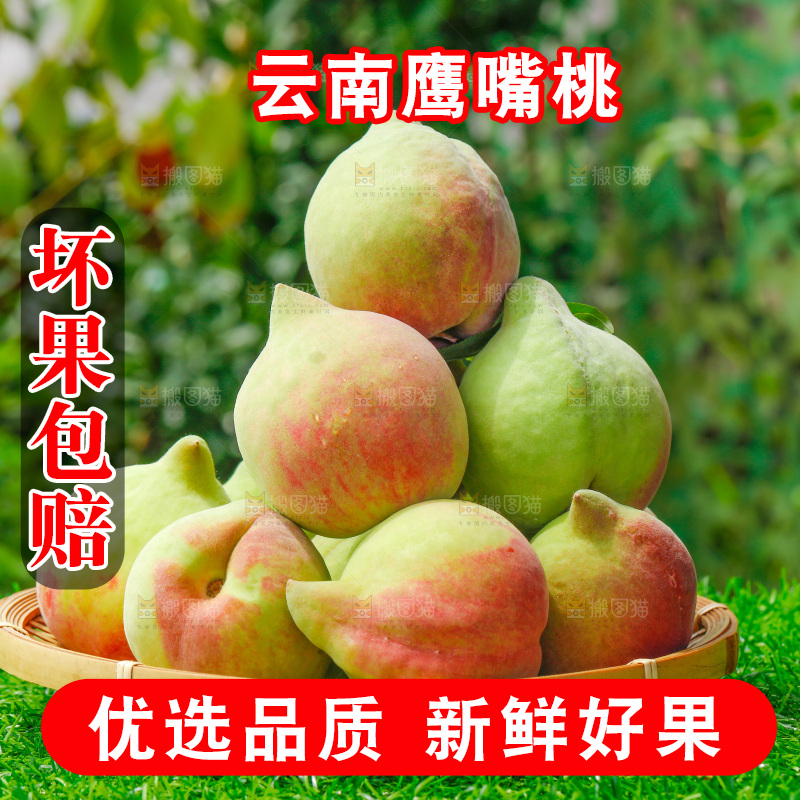 草地上的鹰嘴桃