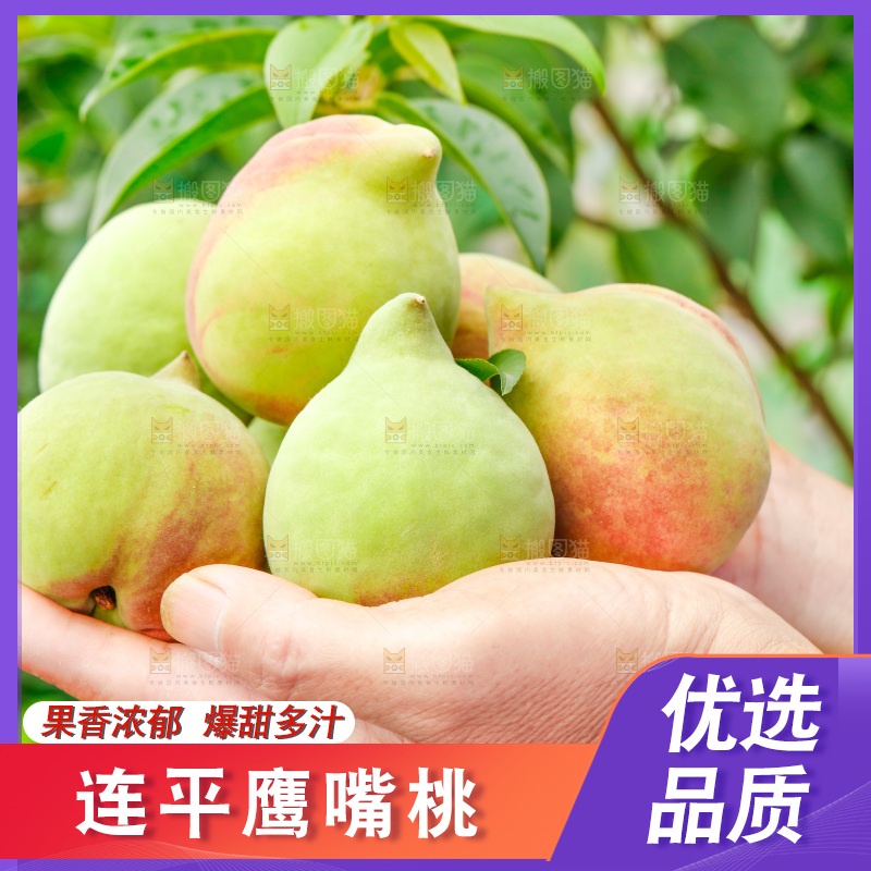 手拿云南鹰嘴黑美人桃子