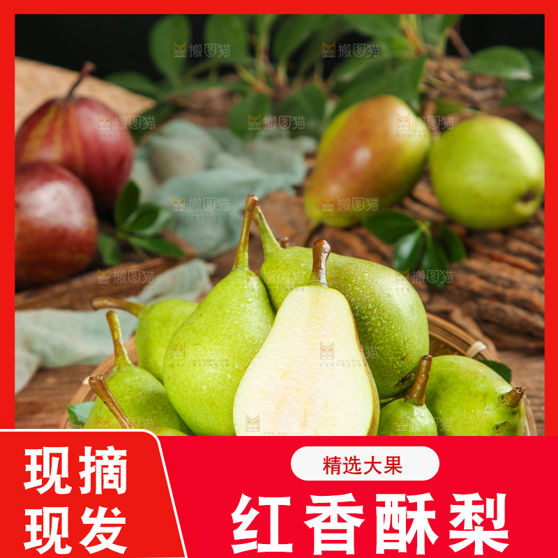 木底上的早酥梨