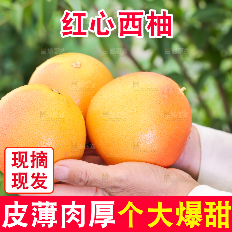 手里拿着南非红心西柚