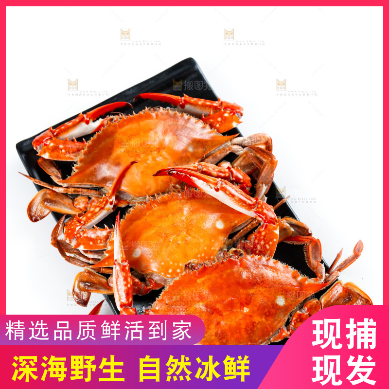 白底上放着一盘梭子蟹
