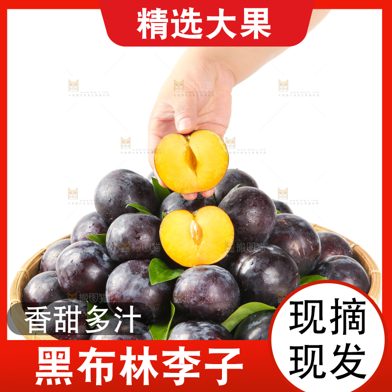白底上手拿一个智利黑布林