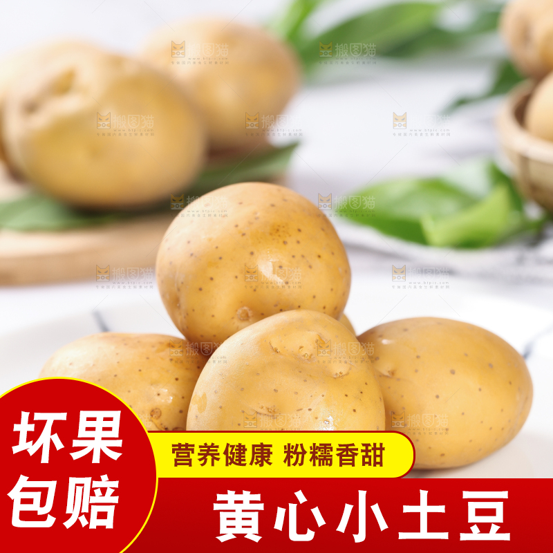 云南小土豆放在石盘里