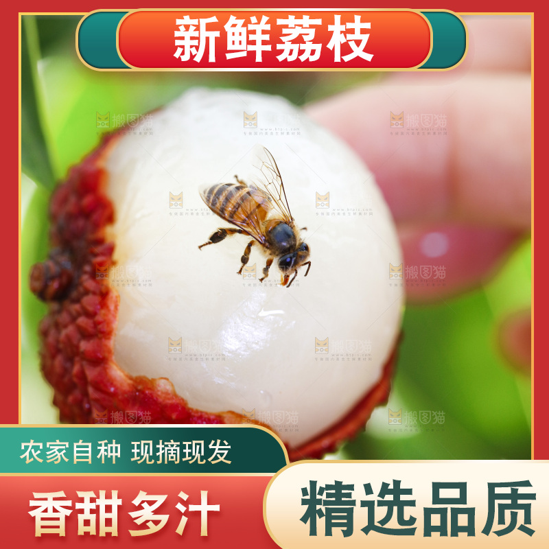 手拿剥皮的荔枝