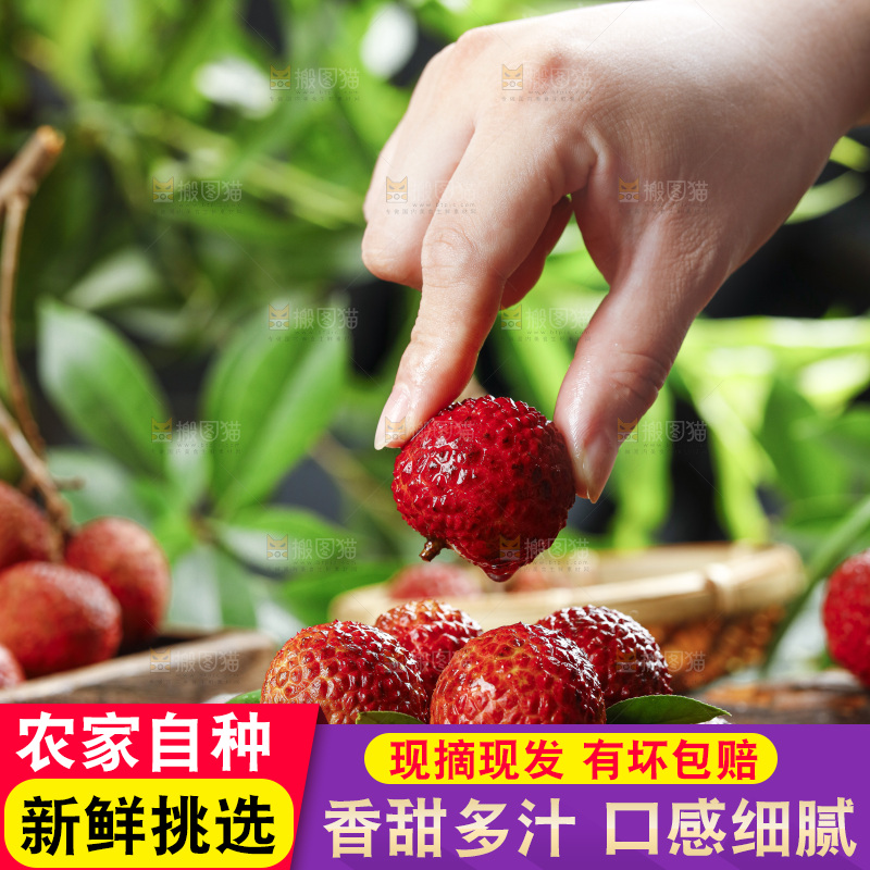 手拿一个荔枝