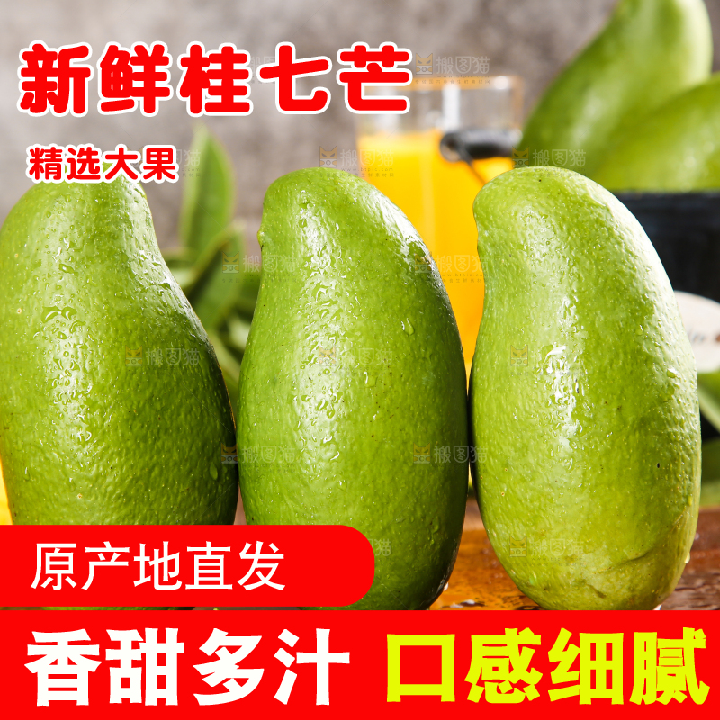 木底上的桂七芒
