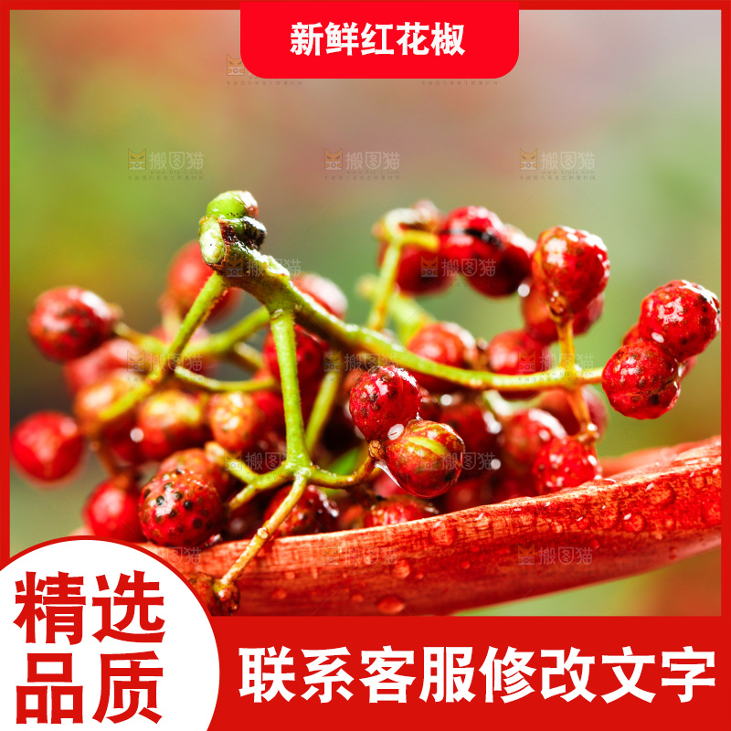 勺子里的新鲜花椒