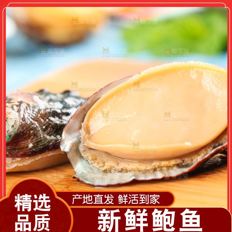 木底上放着鲜冻鲍鱼
