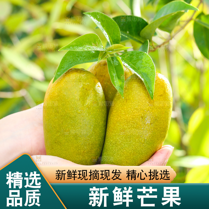 手拿切开的椰香芒果