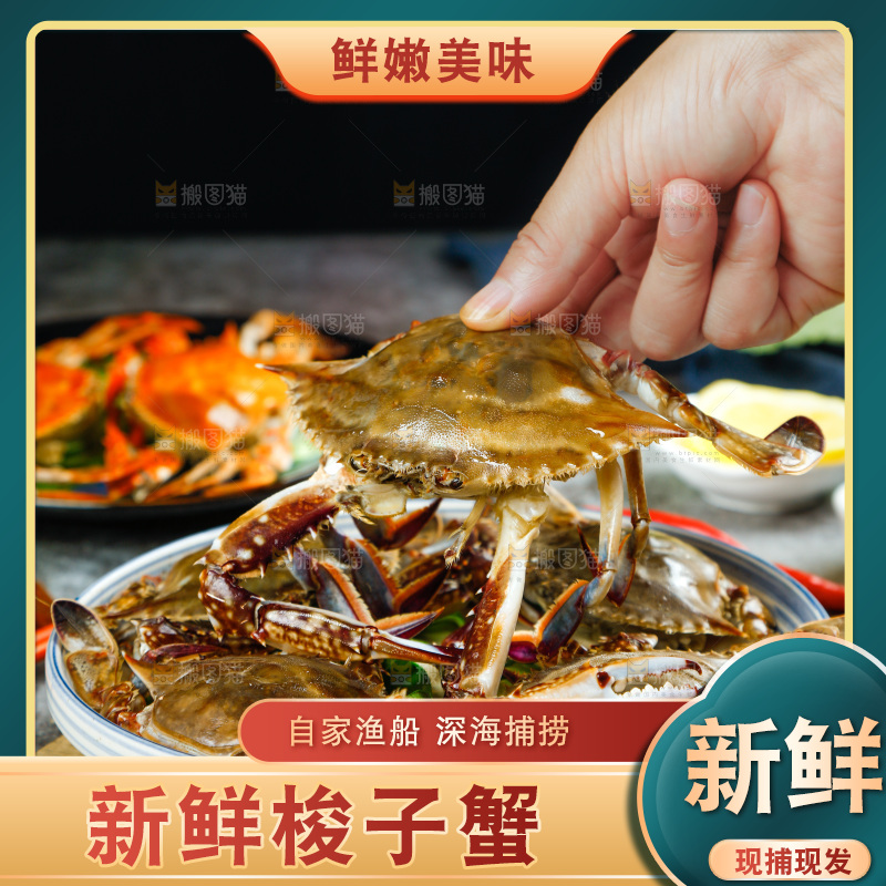 手拿新鲜梭子蟹