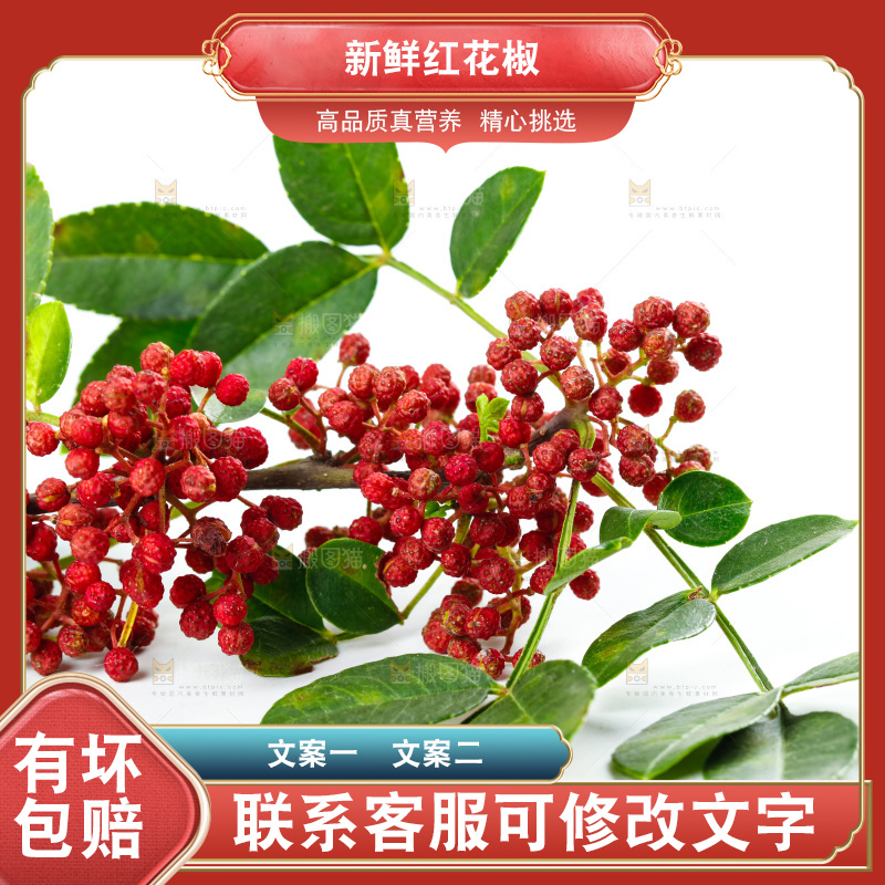 白底上的新鲜花椒