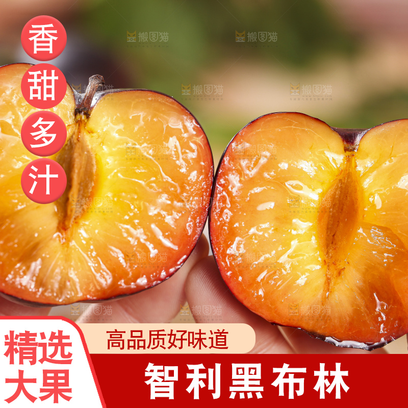 手拿掰开的智利黑布林