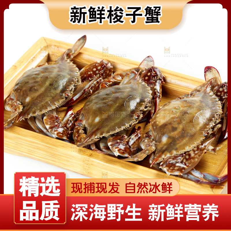 白底上放着一盘梭子蟹
