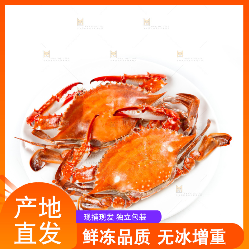 白底上放着一盘梭子蟹