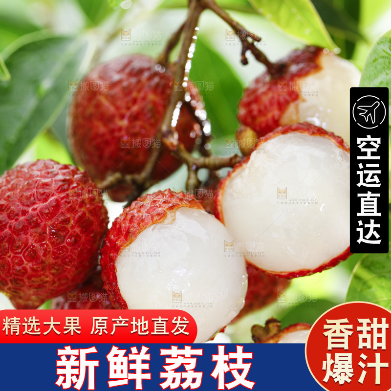 树枝上剥皮的荔枝